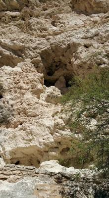 Montezuma Castle.  The bark on the trees here was very interesting.