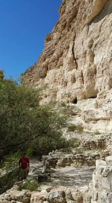 Montezuma Castle.  The bark on the trees here was very interesting.