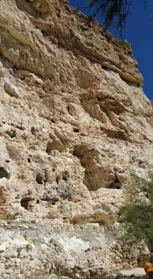 Montezuma Castle.  The bark on the trees here was very interesting.