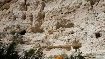 Montezuma Castle.  The bark on the trees here was very interesting.