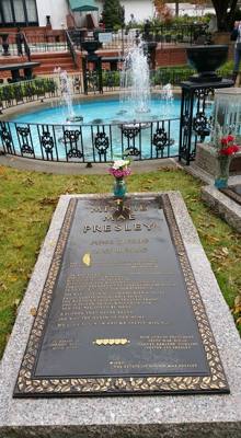 More from Graceland. ..