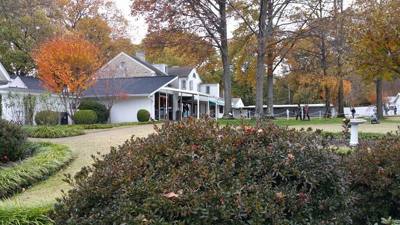 More from Graceland. ..