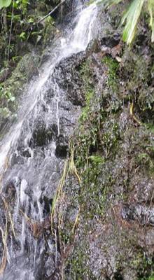 Raise your hand if you hiked the jungles of Ecuador today.  Our guide said he's been doing this for 16 years and we're o