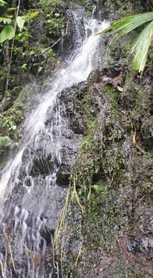 Raise your hand if you hiked the jungles of Ecuador today.  Our guide said he's been doing this for 16 years and we're o