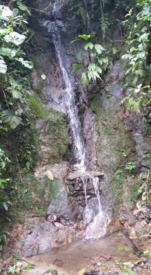 Raise your hand if you hiked the jungles of Ecuador today.  Our guide said he's been doing this for 16 years and we're o