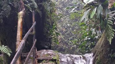 Raise your hand if you hiked the jungles of Ecuador today.  Our guide said he's been doing this for 16 years and we're o