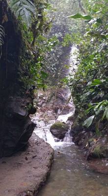 Raise your hand if you hiked the jungles of Ecuador today.  Our guide said he's been doing this for 16 years and we're o