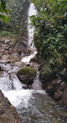 Raise your hand if you hiked the jungles of Ecuador today.  Our guide said he's been doing this for 16 years and we're o