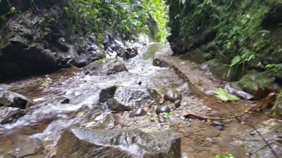 Raise your hand if you hiked the jungles of Ecuador today.  Our guide said he's been doing this for 16 years and we're o