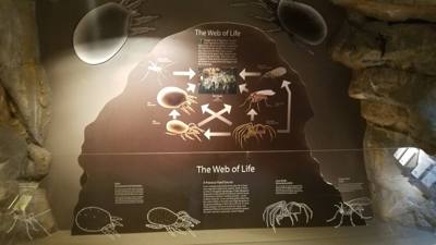 Wish I could have taken pictures inside the caverns.  Best cave tour I've been on.   Beautiful inside.