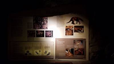 Wish I could have taken pictures inside the caverns.  Best cave tour I've been on.   Beautiful inside.