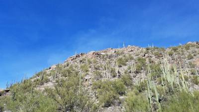 Sabino Canyon (Part 1)