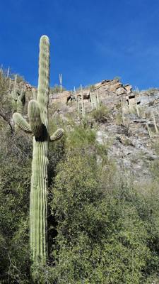 Sabino Canyon (Part 1)