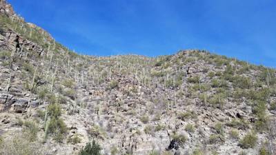 Travel photo