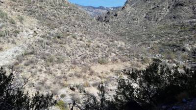 Sabino Canyon (Part 1)