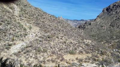 Sabino Canyon (Part 1)
