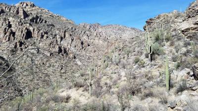 Sabino Canyon (Part 2)
