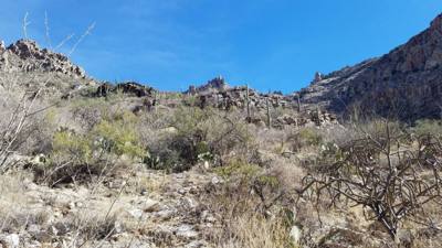 Sabino Canyon (Part 2)