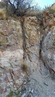 Sabino Canyon (Part 2)