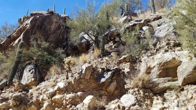 Sabino Canyon (Part 2)