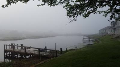 Foggy morning...