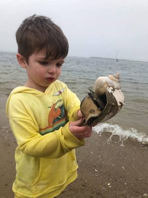Found a pretty good sized sea snail. Noel dug it out. Let Avery experience it before we put it back in its hole.
