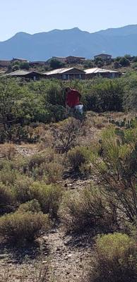 Harvesting and processing prickly pears today.  Pics now.  Videos to follow...