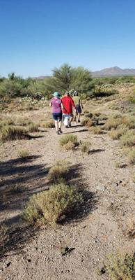 Harvesting and processing prickly pears today.  Pics now.  Videos to follow...