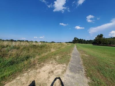 Travel photo