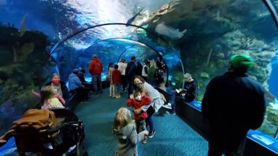 Travel photo