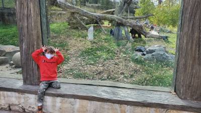 Travel photo