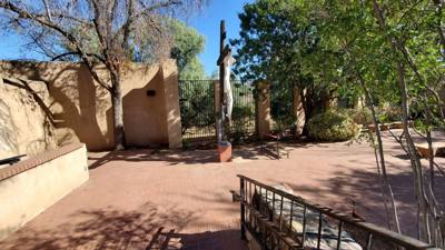 Garden of Gethsemane in Tucson, AZ.