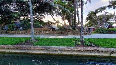 Part 2 of our culturally and historically enlightenning day today was a luau.  Great food and entertainment.  Didn't get