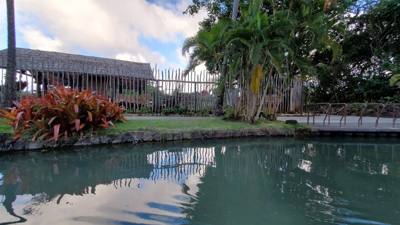 Travel photo