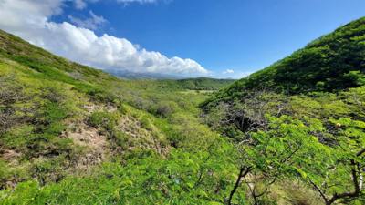 A hike up Diamond Head to get the day started.