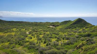 A hike up Diamond Head to get the day started.