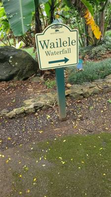 Wet afternoon at Weimea Falls.  Got to the top and it started raining hard.  Julie and Aaron stepped in the pool below t