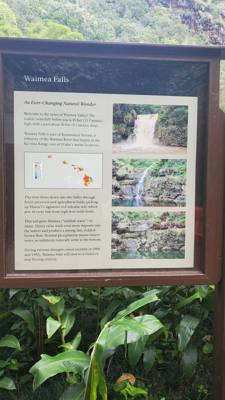 Wet afternoon at Weimea Falls.  Got to the top and it started raining hard.  Julie and Aaron stepped in the pool below t