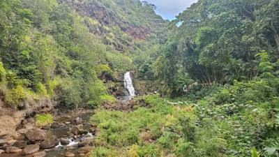 Wet afternoon at Weimea Falls.  Got to the top and it started raining hard.  Julie and Aaron stepped in the pool below t