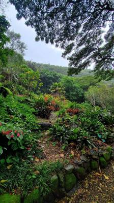 Wet afternoon at Weimea Falls.  Got to the top and it started raining hard.  Julie and Aaron stepped in the pool below t