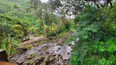 Wet afternoon at Weimea Falls.  Got to the top and it started raining hard.  Julie and Aaron stepped in the pool below t