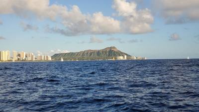Sunset Cruise before dinner. Great way to end the day. Had some good whale watching and got to see Diamond Head from the