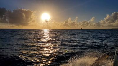 Sunset Cruise before dinner. Great way to end the day. Had some good whale watching and got to see Diamond Head from the