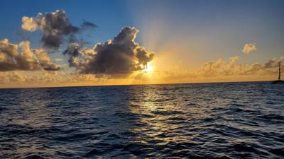 Sunset Cruise before dinner. Great way to end the day. Had some good whale watching and got to see Diamond Head from the
