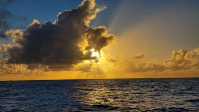 Sunset Cruise before dinner. Great way to end the day. Had some good whale watching and got to see Diamond Head from the