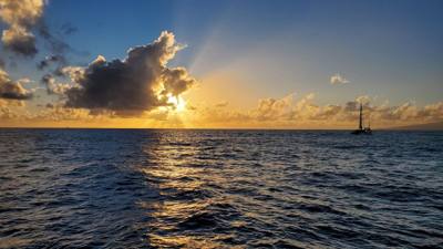Sunset Cruise before dinner. Great way to end the day. Had some good whale watching and got to see Diamond Head from the