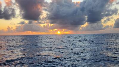 Sunset Cruise before dinner. Great way to end the day. Had some good whale watching and got to see Diamond Head from the