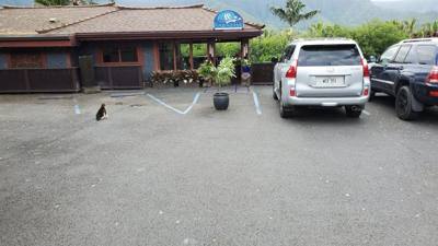 Here are some photos of the resort we stayed at. It was not crowded. We really liked it.