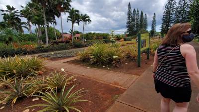 On our Rotten Tomatoes list for our Hawaii trip is the Dole Plantation.  3 things to do and a 45 minutes wait for the tr