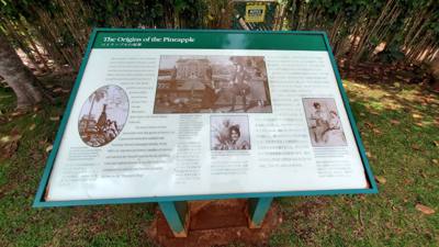 On our Rotten Tomatoes list for our Hawaii trip is the Dole Plantation.  3 things to do and a 45 minutes wait for the tr